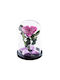 Eternal Rose Beauty Pink 1pcs