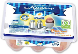 Chrysa Avga Day Eggs 6 Pack 63-73g (L)