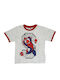 Kids' T-shirt Gray