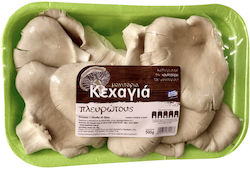 Μανιτάρια Πλευρώτους Ελληνικά 500gr