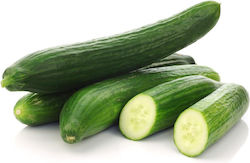 Organic Greek Cucumbers Pack (1 Pack / 1.1kg) Organic Greek Cucumbers Pack (1 Pack / 1.1kg)