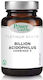 Power Of Nature Platinum Range Billion Acidophilus Combined 5 Probiotice 30 capace
