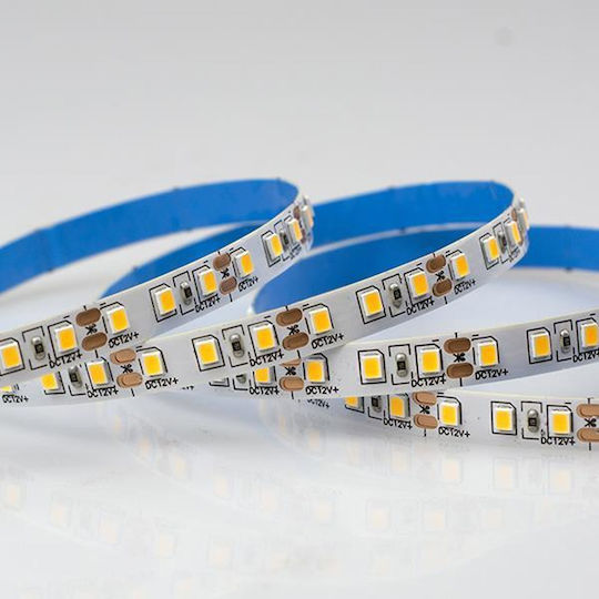Eurolamp LED Лента 12V Студено бяло Светлина 5м Тип SMD2835
