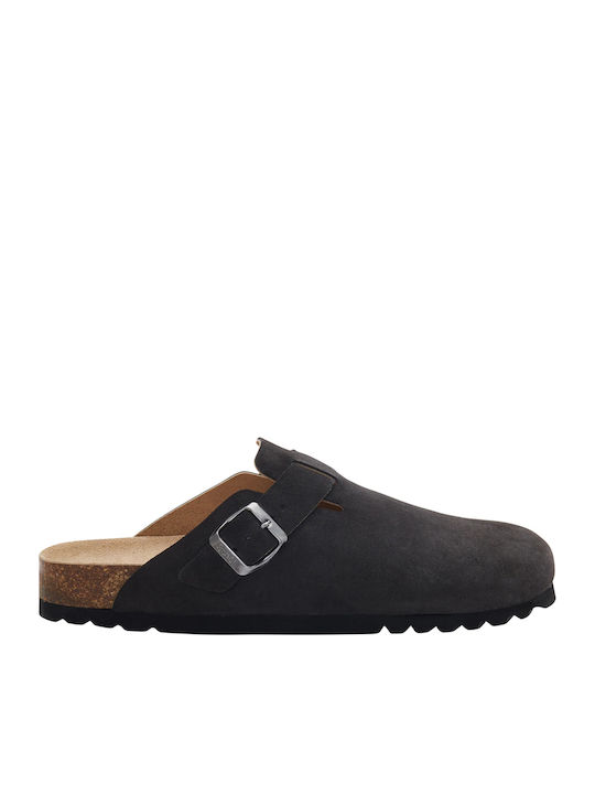 Scholl