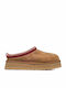 Tazz Slipper Затворени Дамски Чехли Кафяв