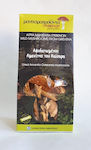 Caesar's Amanita 25gr Mushroom Products from Grevena