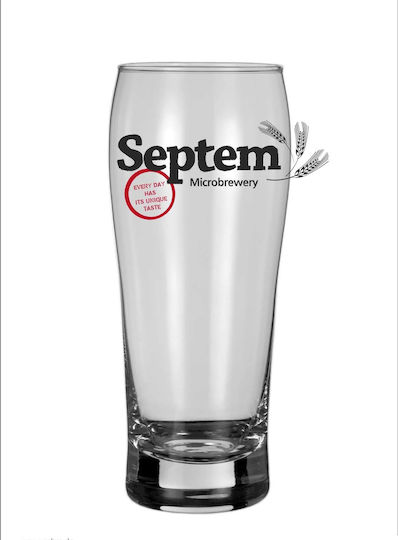 Radeberger Ποτήρι Μπύρας από Γυαλί Κολωνάτο 330ml