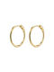 Pilgrim Earrings Hoops Gold Plated