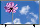 Kydos Смарт Телевизор 55" 4K UHD Edge LED K55WU22SD01BV3 (2021)