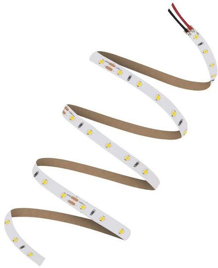 Ledvance Ταινία LED 24V Φυσικό Λευκό Φως 1m Τύπου SMD2835