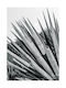 Walls Poster Yucca Leaves WALLS 102575 02 09 015 020 15x20cm