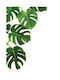 Walls Αφίσα Monstera 15x20cm