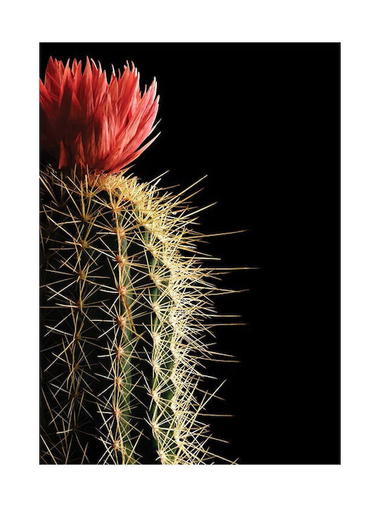 Walls Poster Flowering Cactus 15x20cm