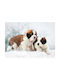 Walls Poster Puppies In The Snow 20x15cm