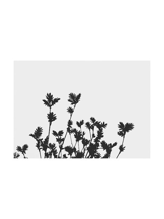Walls Walls Mountain Ashes Poster 20x15cm