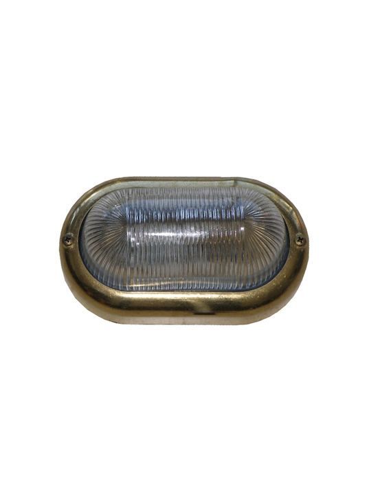 Elvhx Χελώνα 20x11.5x10εκ.