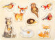 Wooden Kids Peg Puzzle for 1+ Years 9pcs Small Foot