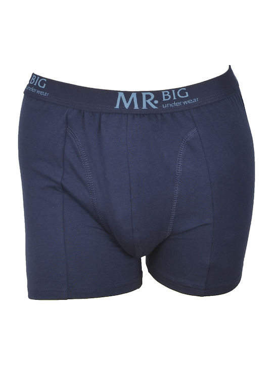 Mr.Big 201 Herren Boxershorts Blau mit Mustern 1Packung