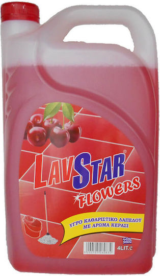 Lav Star Kirsche 1x4l