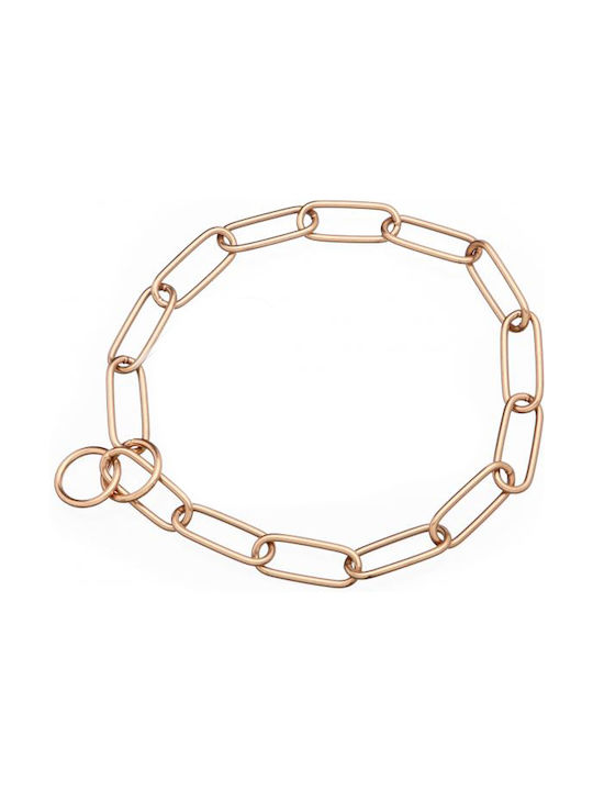Sprenger Stainless steel Dog Choker Chain in Gold color 3mm x 50cm