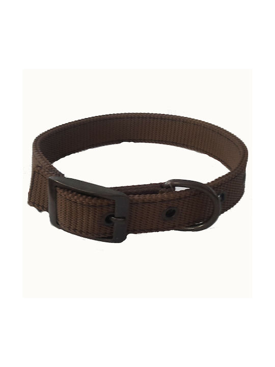 Funky Pet Dog Collar in Brown color