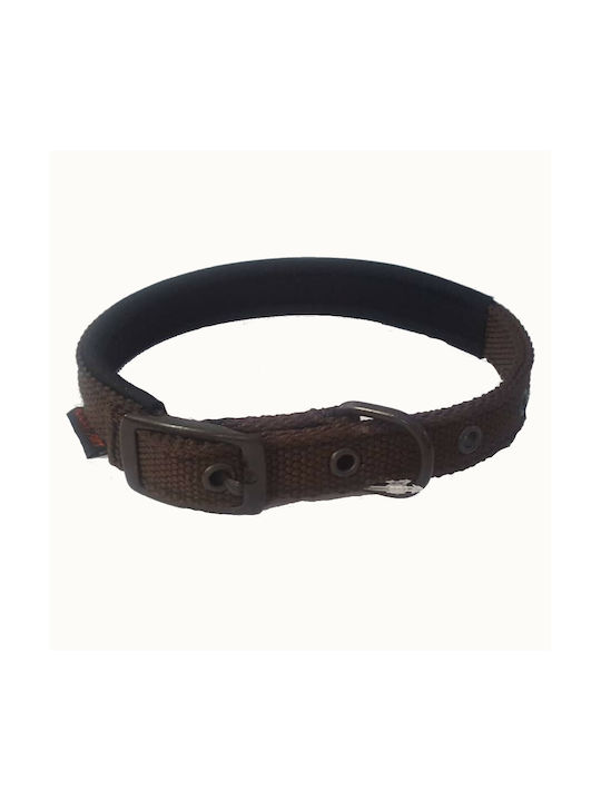 Funky Pet Hundehalsband in Braun Farbe