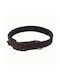 Funky Pet Hundehalsband in Braun Farbe