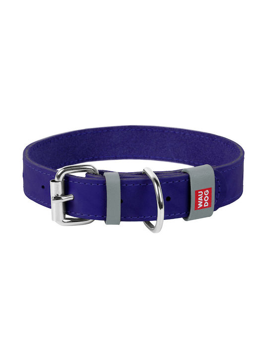 Collar Dog Collar Purple