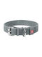 Collar Dog Collar Gray