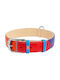 Collar Dog Collar Multicolour