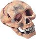 Aqua Della SKULL L Aquarium Decoration Skull 2236-104309