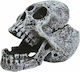 Happet Aquarium Decoration Skull R107