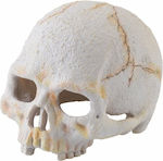 Exo Terra Decorative Skull for Aquariums 301753