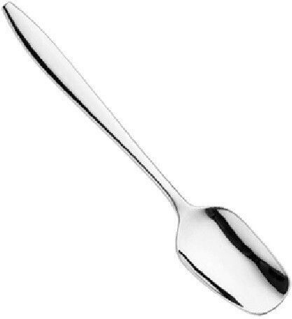 Pintinox Coffee / Tea Stainless Steel Silver Spoons