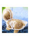 Animal Transparent Waterproof Dog Coat with Hood with 22cm Back Length
