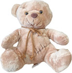 Plush Bear 25 cm