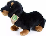 Rappa Plush Toy Puppy 30cm