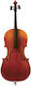 Gewa 6 4/4 Cello