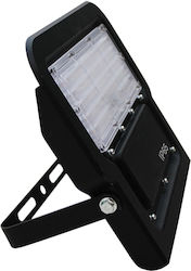 VK Lighting 631582640 VK Lighting 631582640