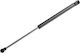 NTY Trunk Shock for Volkswagen Caddy / Touran