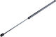 NTY Trunk Shock for Fiat Croma