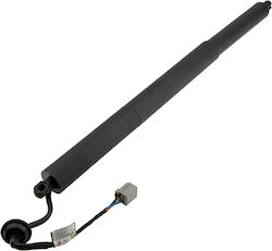 NTY Trunk Shock for Ford Explorer