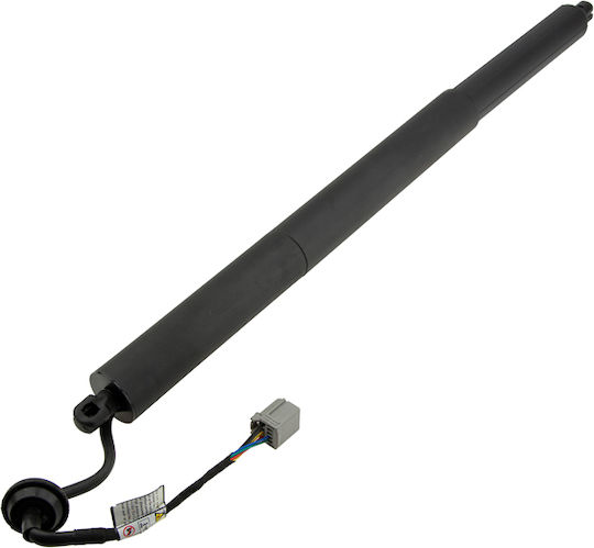 NTY Trunk Shock for Ford Explorer