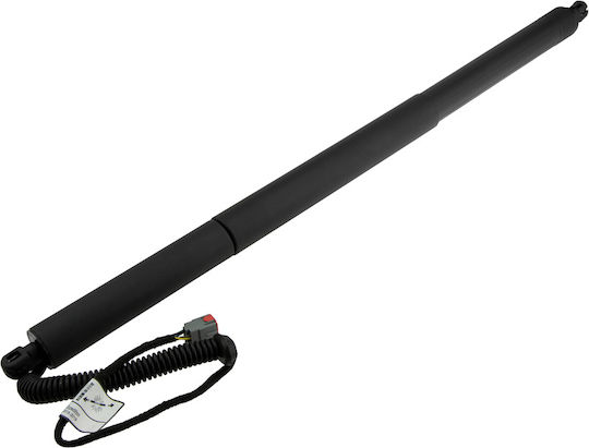 NTY Trunk Shock for Ford Expedition