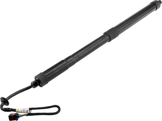 NTY Trunk Shock for Hyundai Santa Fe