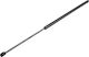 NTY Trunk Shock for Mercedes-Benz Citan Renault Kangoo Ford Transit