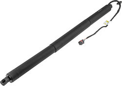NTY Car Trunk Shock for PorscheCayenne