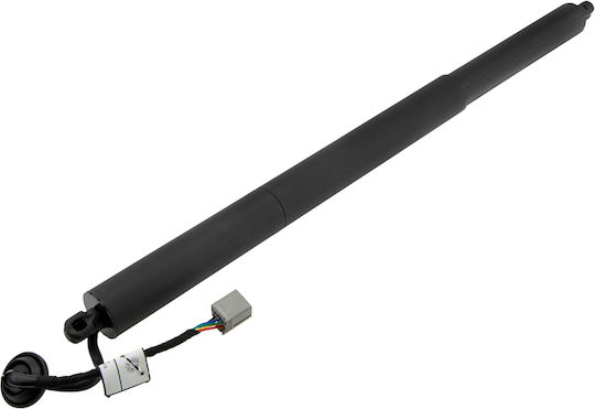 NTY Trunk Shock for Ford Explorer