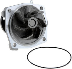 NTY Αντλία Νερού Αυτοκινήτου για Opel Frontera Fiat Cinquecento / Panda / Seicento Suzuki Baleno / X-90 Mercedes-Benz SL Renault Clio / Kangoo / Megane / Scenic / Thalia Mitsubishi Carisma / Space Gear / L400 BMW X3 Kia Carnival Chrysler Grand Voyager / Voyager Nissan Cabstar / PickUp / Serena / Trade / Vanette Ford B-Max / C-Max / EcoSport / Fiesta / Focus / Grand C-Max / Mondeo / Scorpio / Tourneo Connect / Grand Tourneo / Tourneo Courier / Transit Connect / Transit Courier Jeep Cherokee / Grand C
