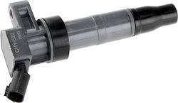 NTY Car Ignition Coil for Kia Cerato / Magentis / Optima / Sorento / Sportage Hyundai Genesis / Grandeur / H-1 / iX35 / Santa Fe / Sonata